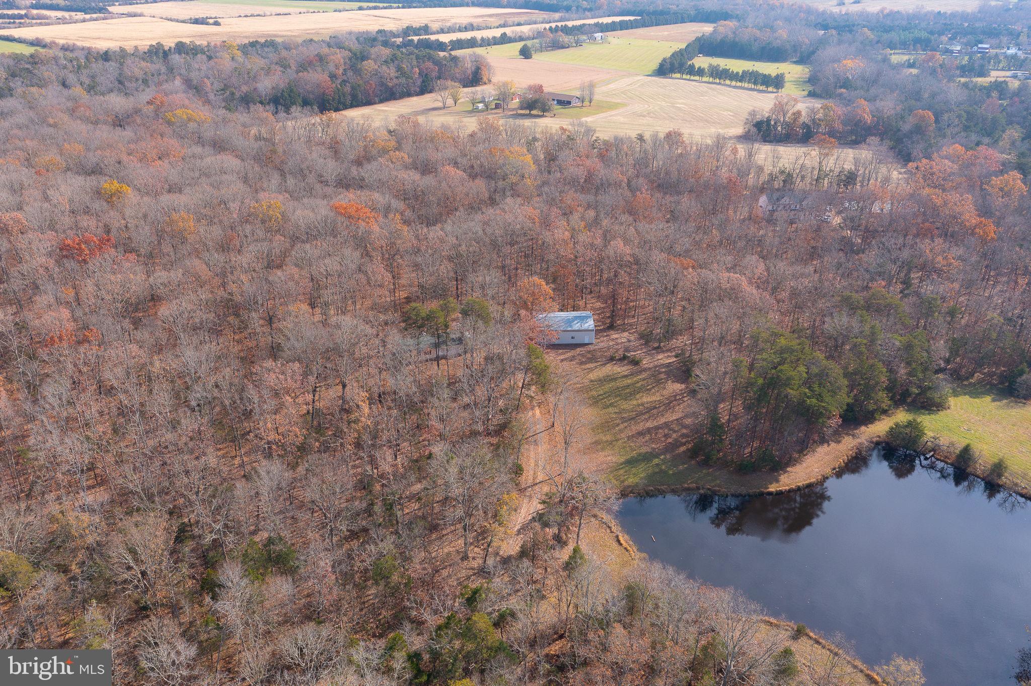 14 ACRES SHENANDOAH PATH