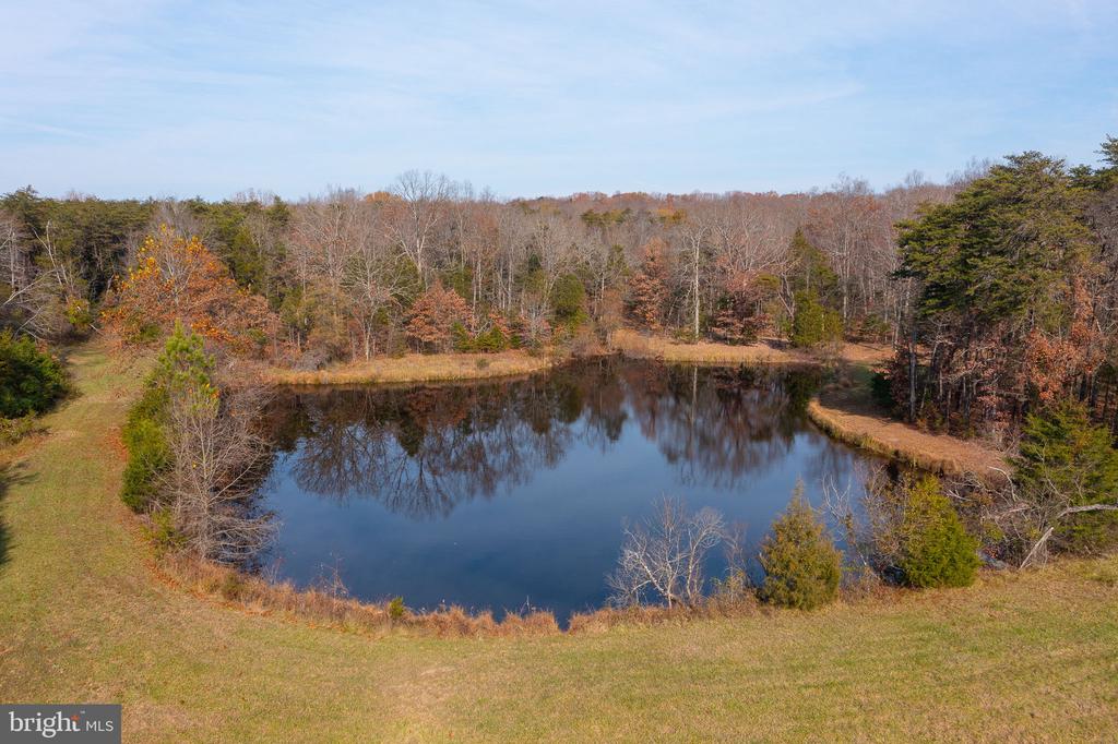 14 ACRES SHENANDOAH PATH