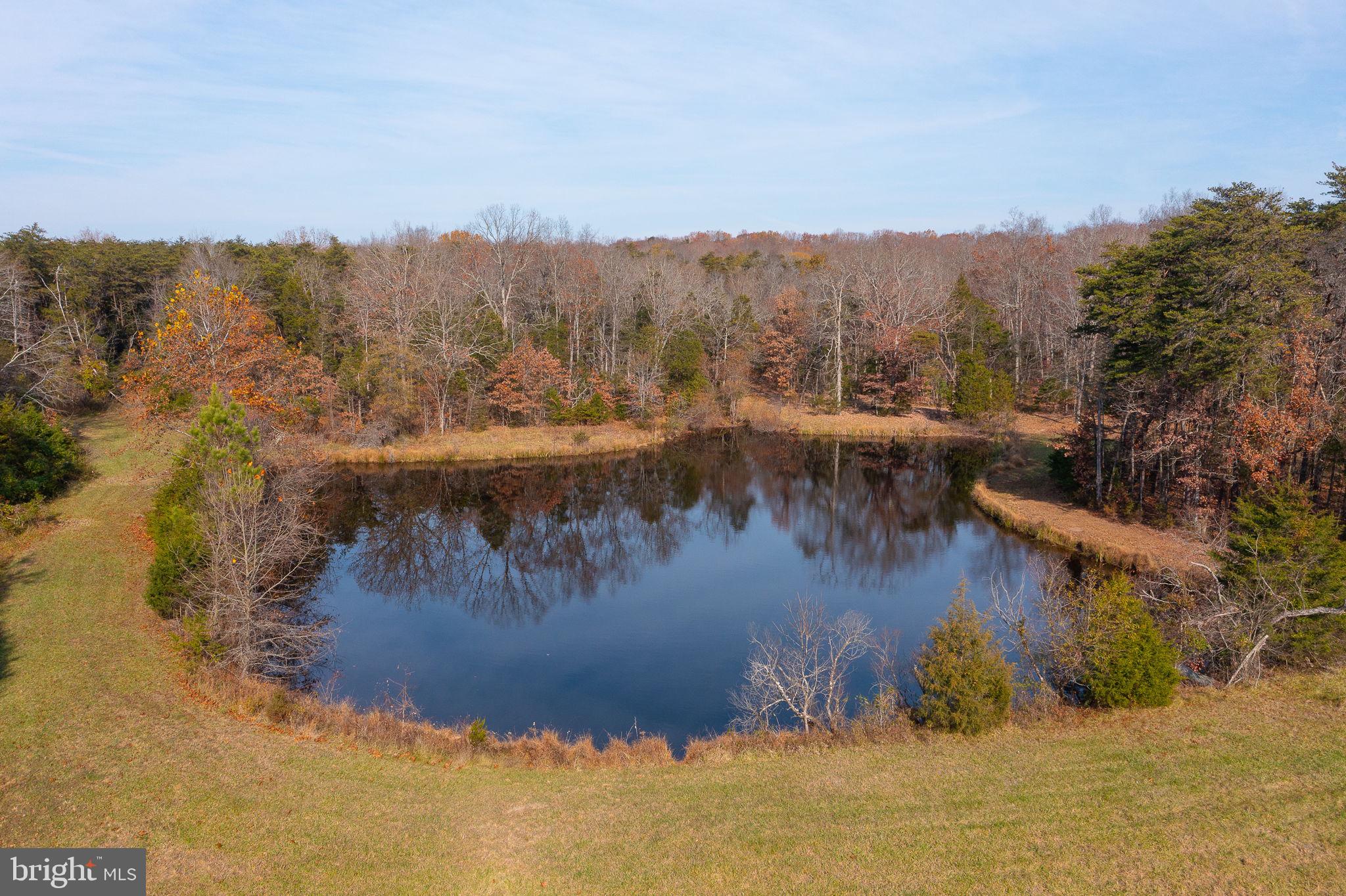 14 ACRES SHENANDOAH PATH