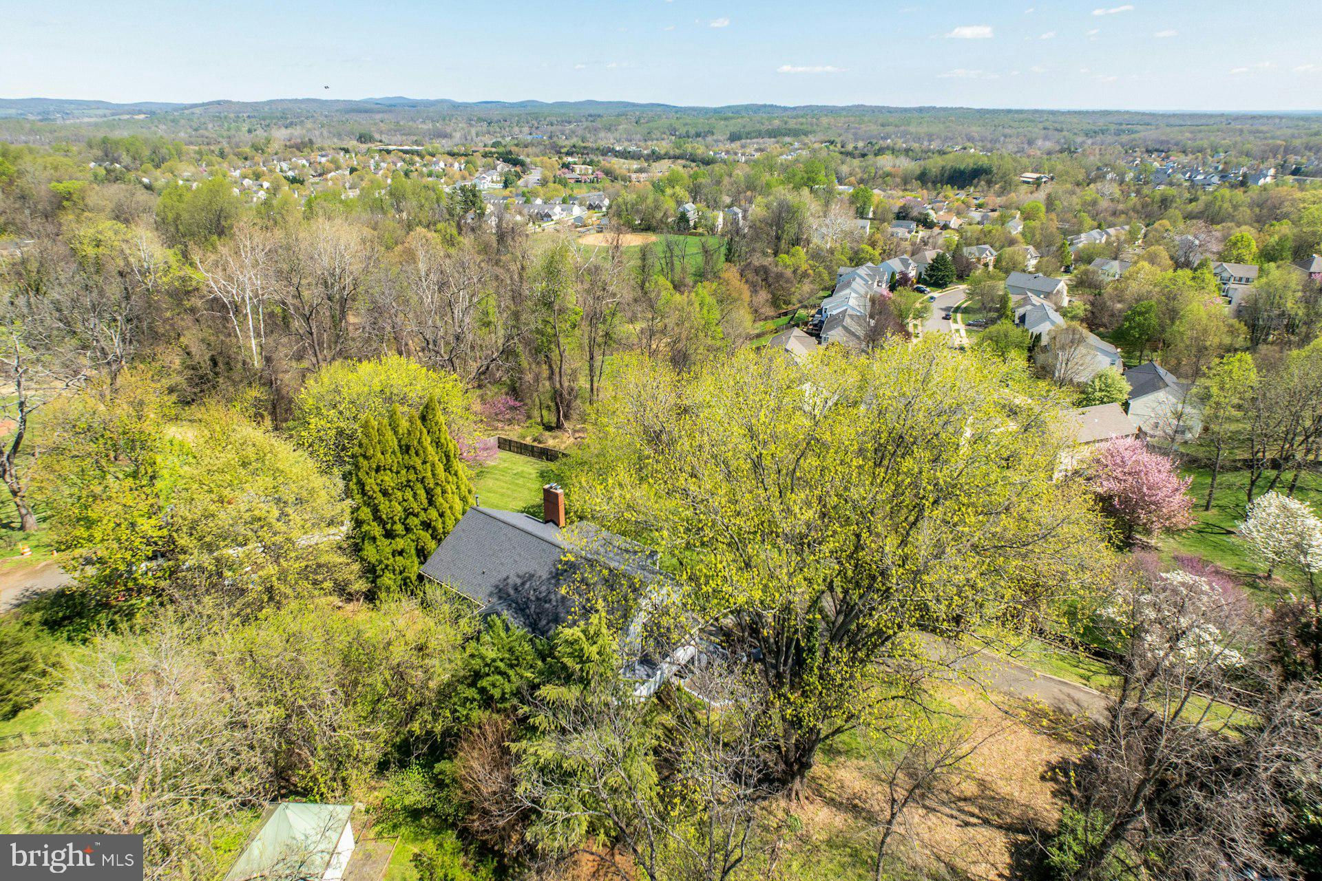 221 MOCKINGBIRD LANE