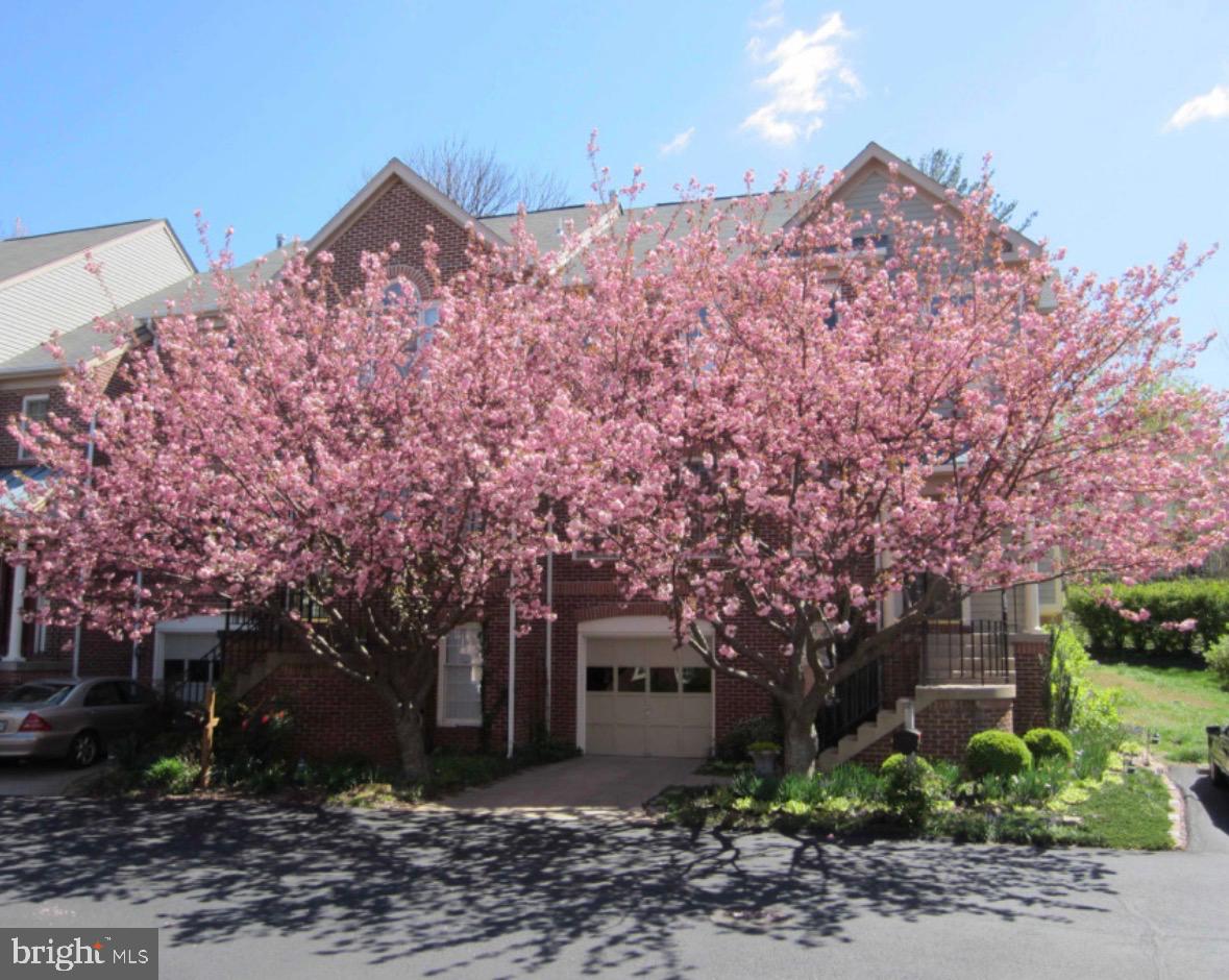 146 MOSBY CIRCLE