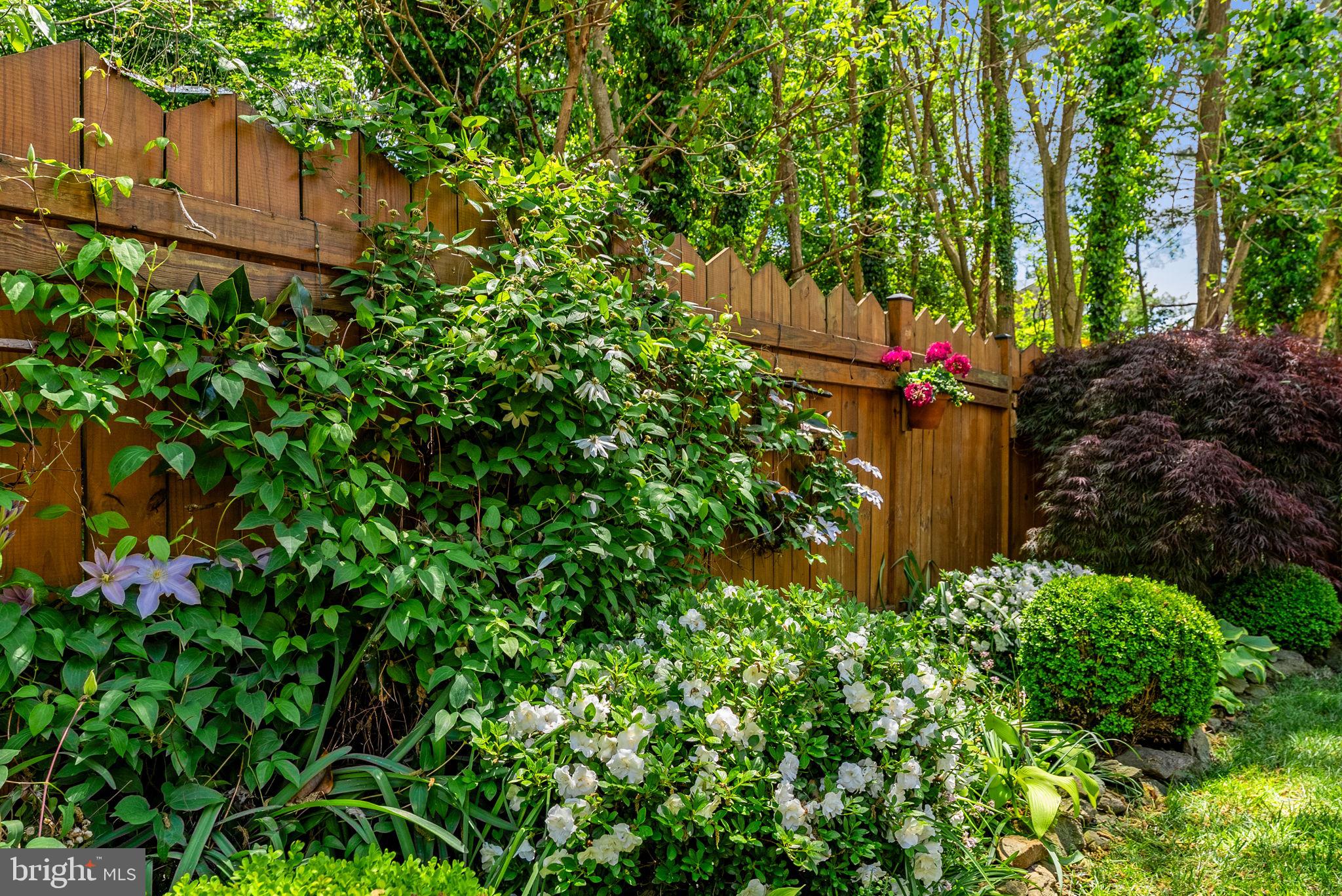 146 MOSBY CIRCLE