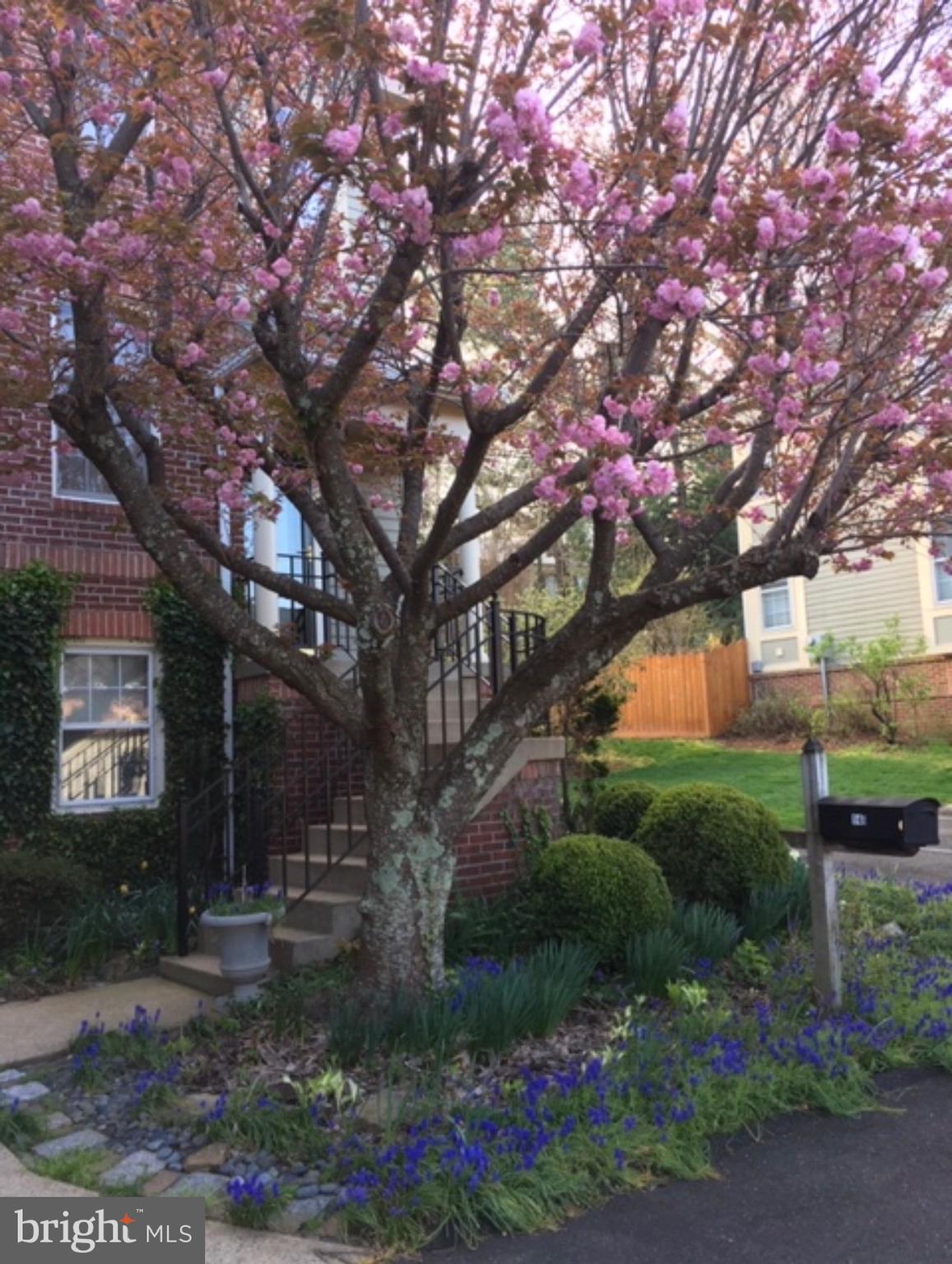 146 MOSBY CIRCLE