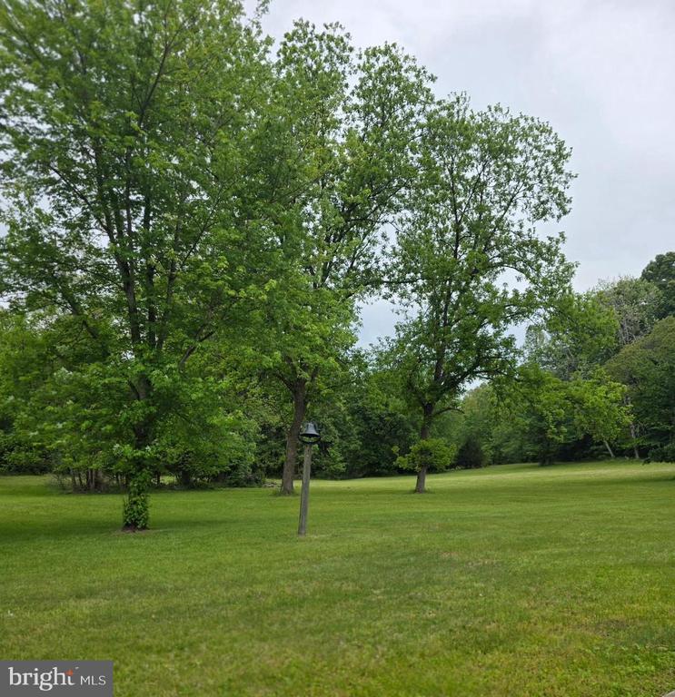 12655 BRISTERSBURG ROAD