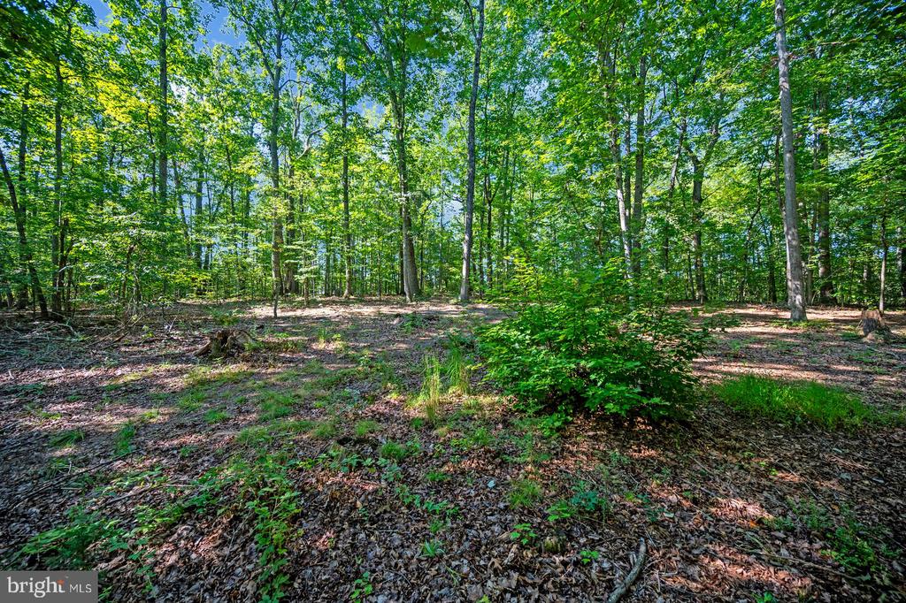 13218 TALL OAK TURN