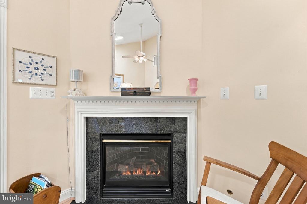 256 CARRIAGE CHASE CIRCLE
