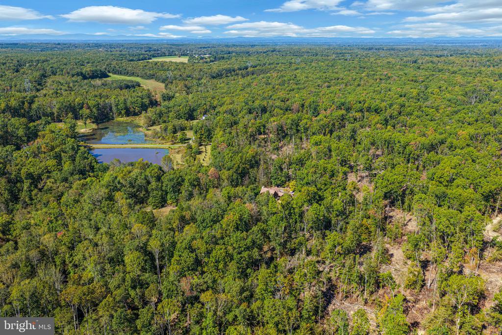 2169 BEAVER DAM ROAD