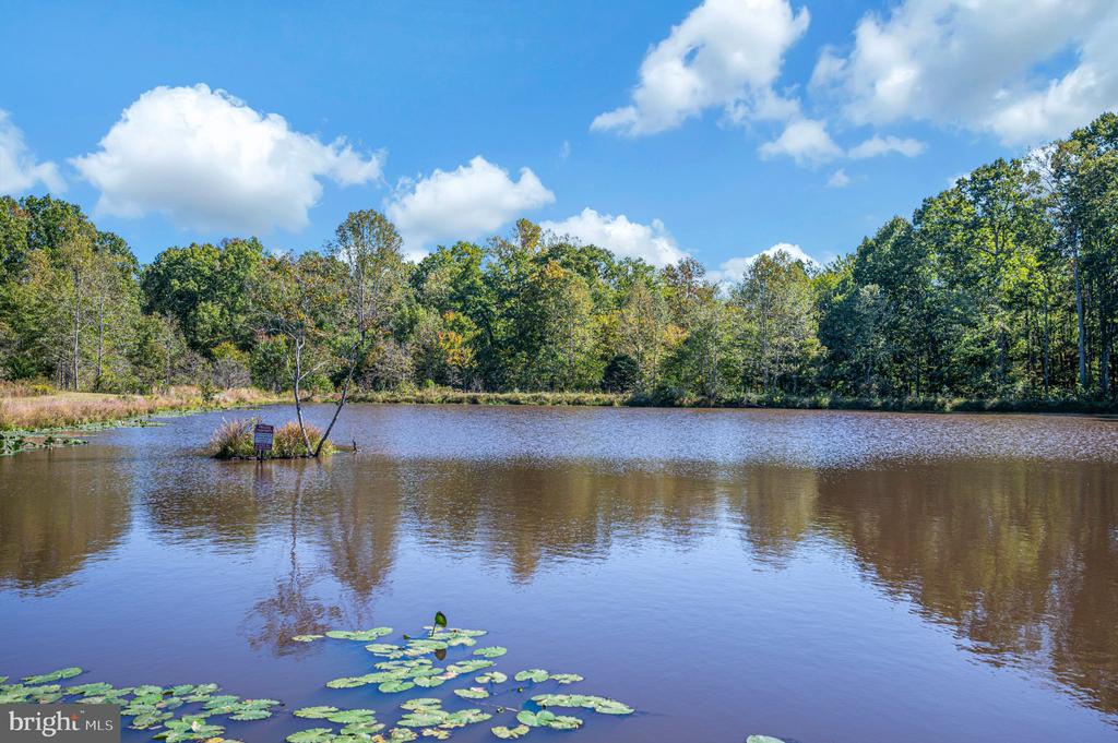 2169 BEAVER DAM ROAD