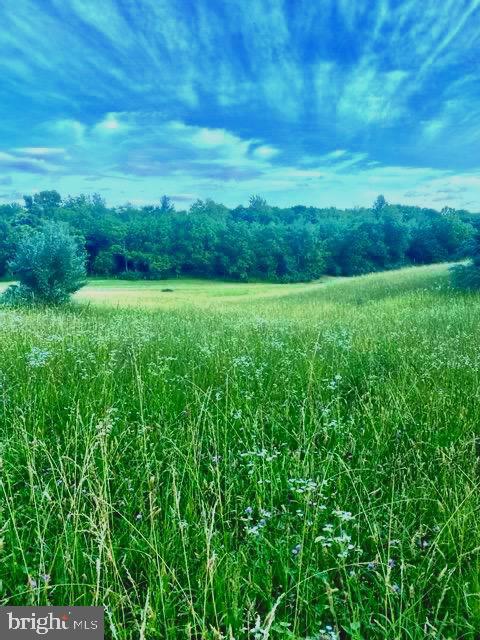 LOT#3 5 ACRES Minebank