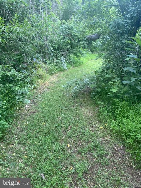 440 Lot 1 (5 Acres). Minebank ROAD