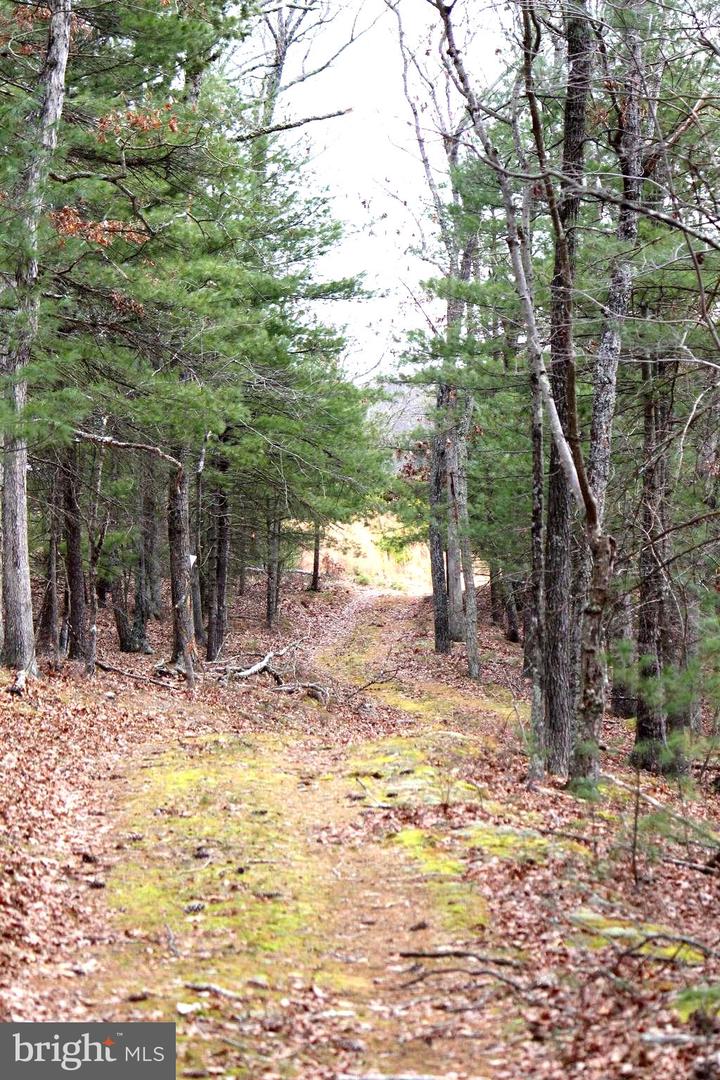 Parcel lot 3 Isaac Creek Street Unit: LOT 3