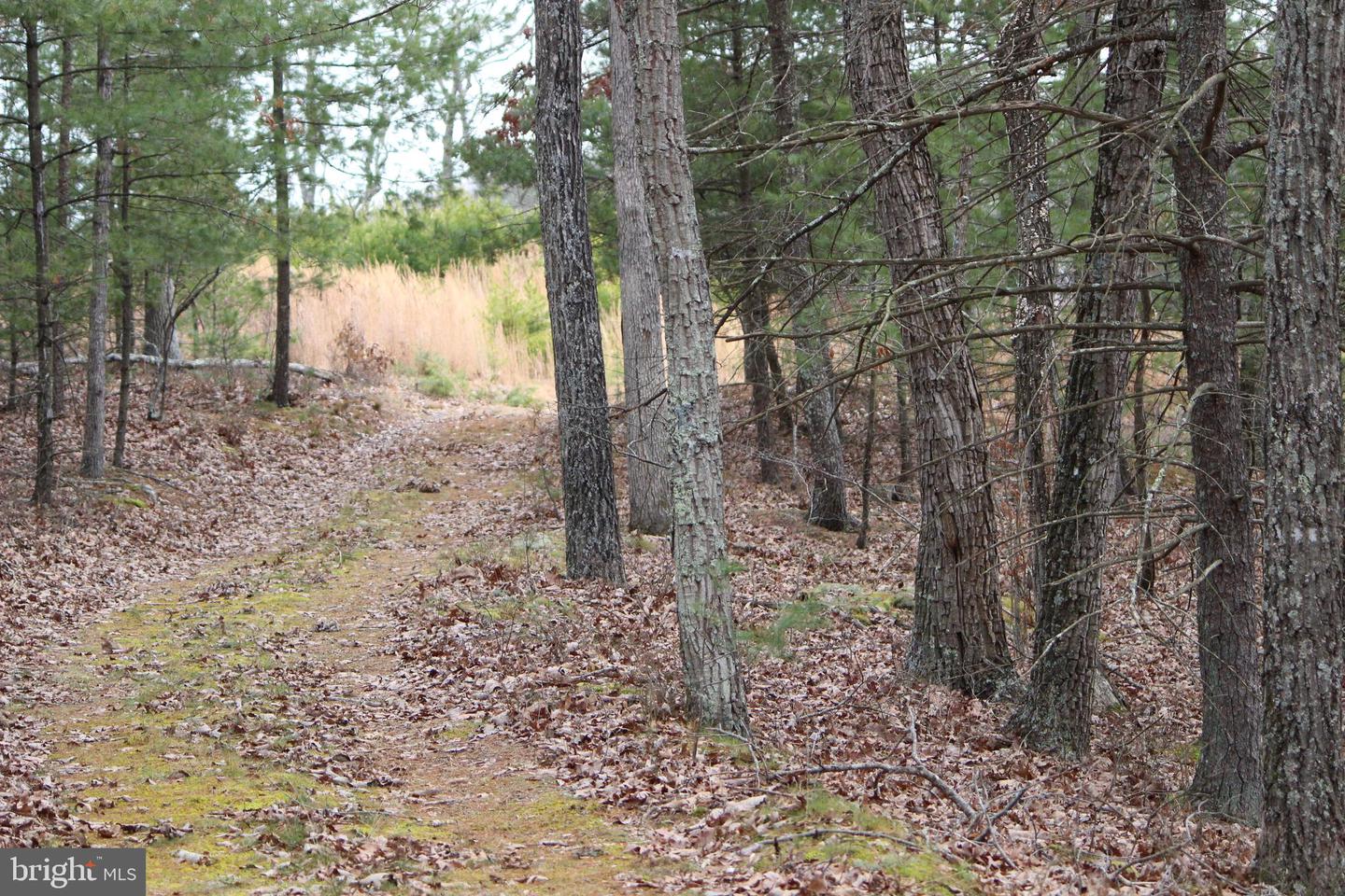 Parcel lot 3 Isaac Creek Street Unit: LOT 3