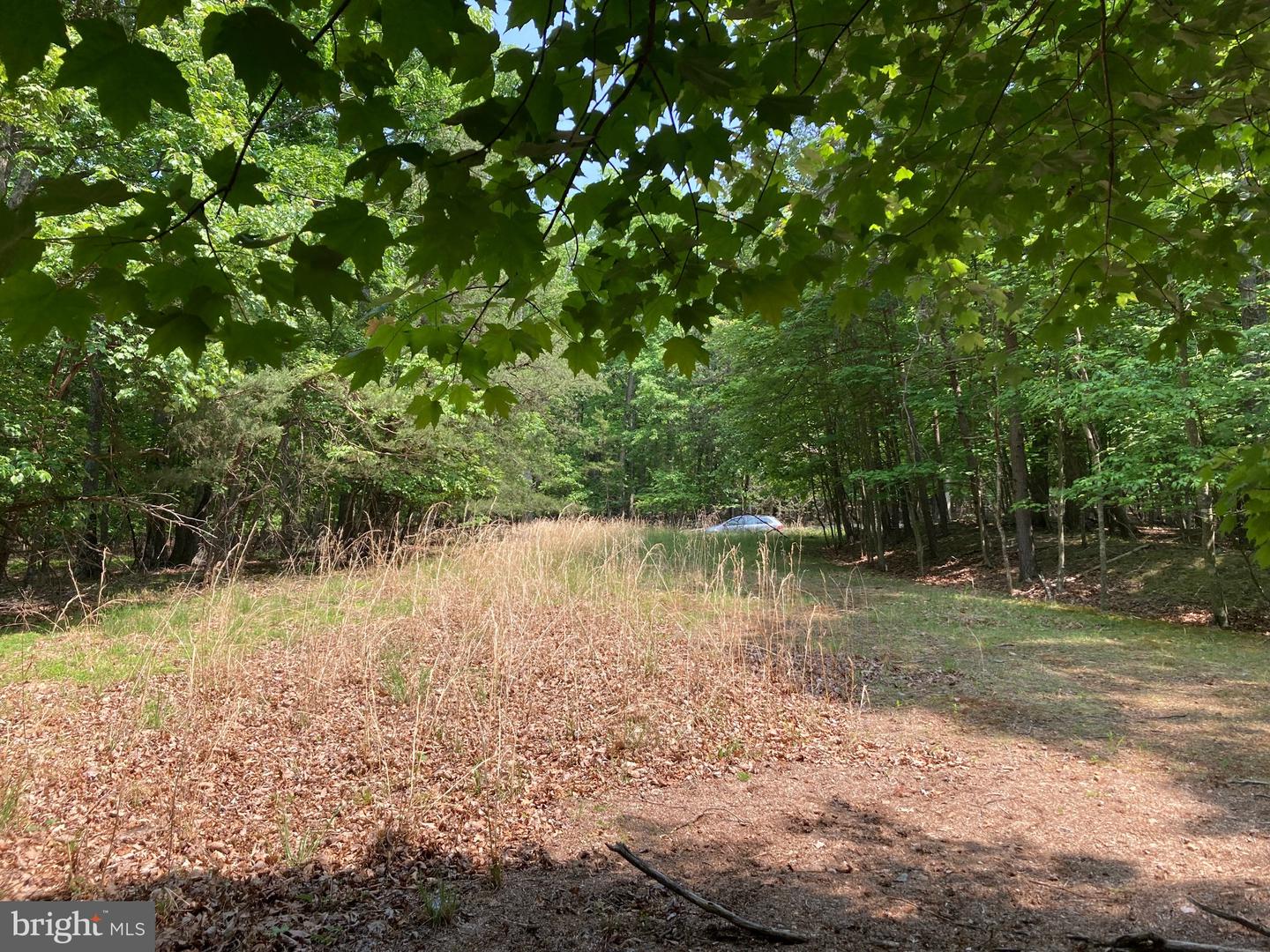 104 Ashland Ct Ct