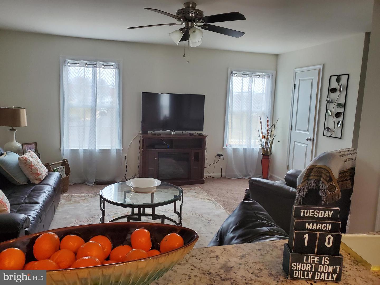 203 Sage CIRCLE