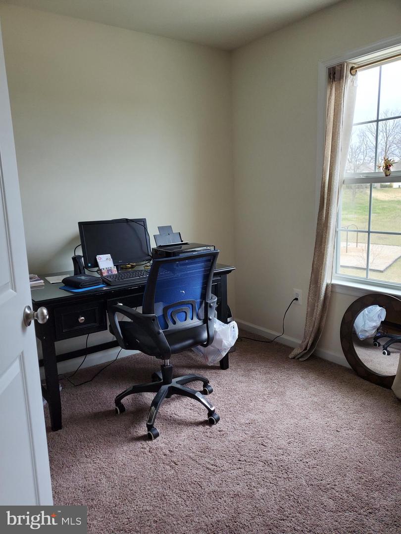 203 Sage CIRCLE