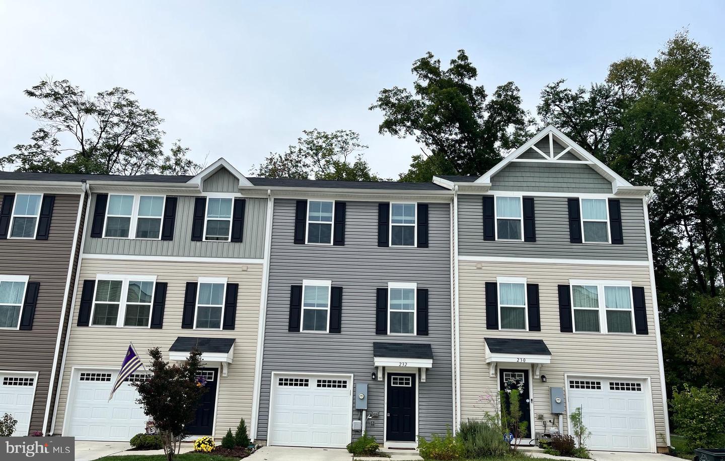 232 Sage CIRCLE