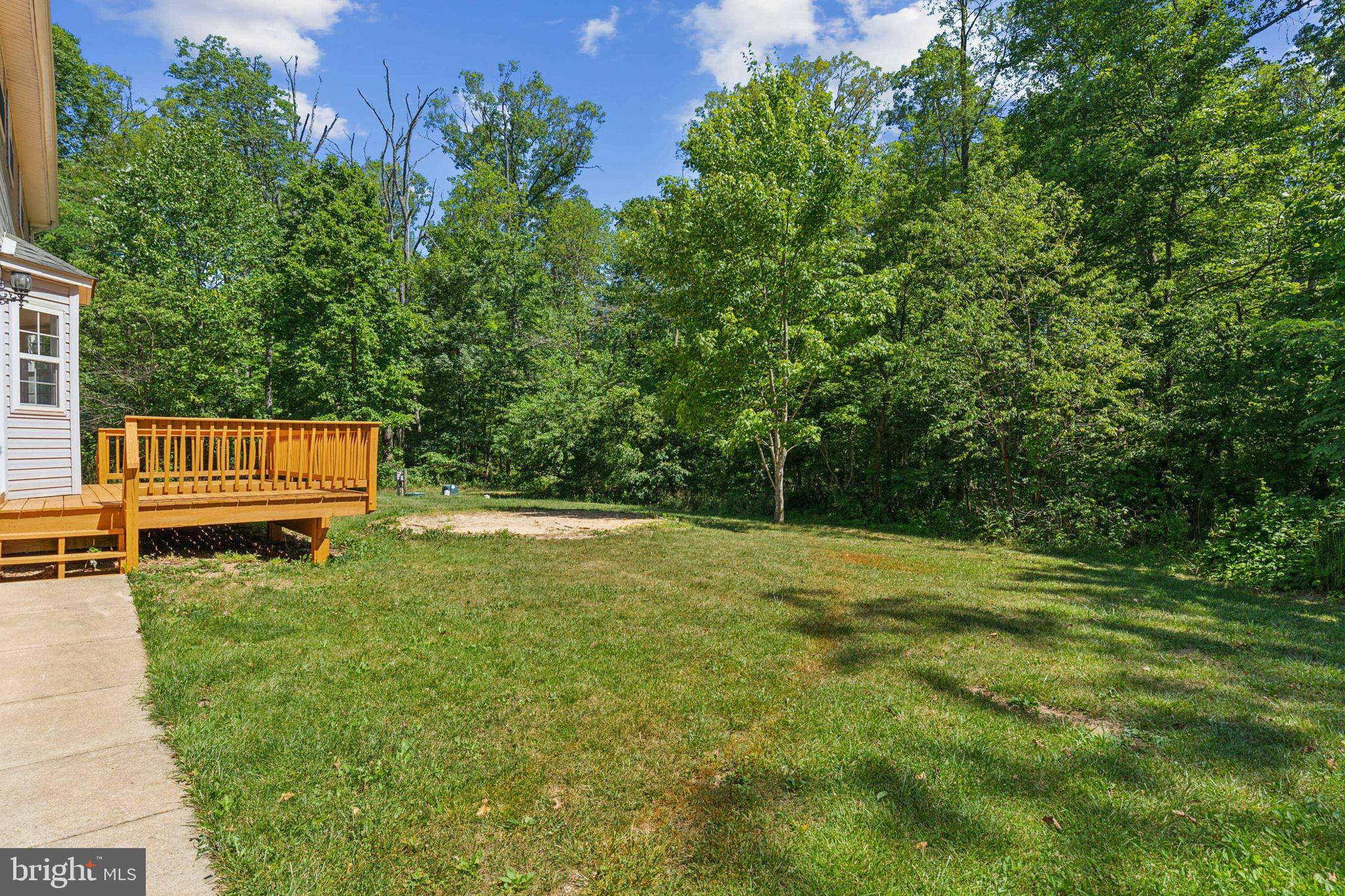 310 Mountain Falls