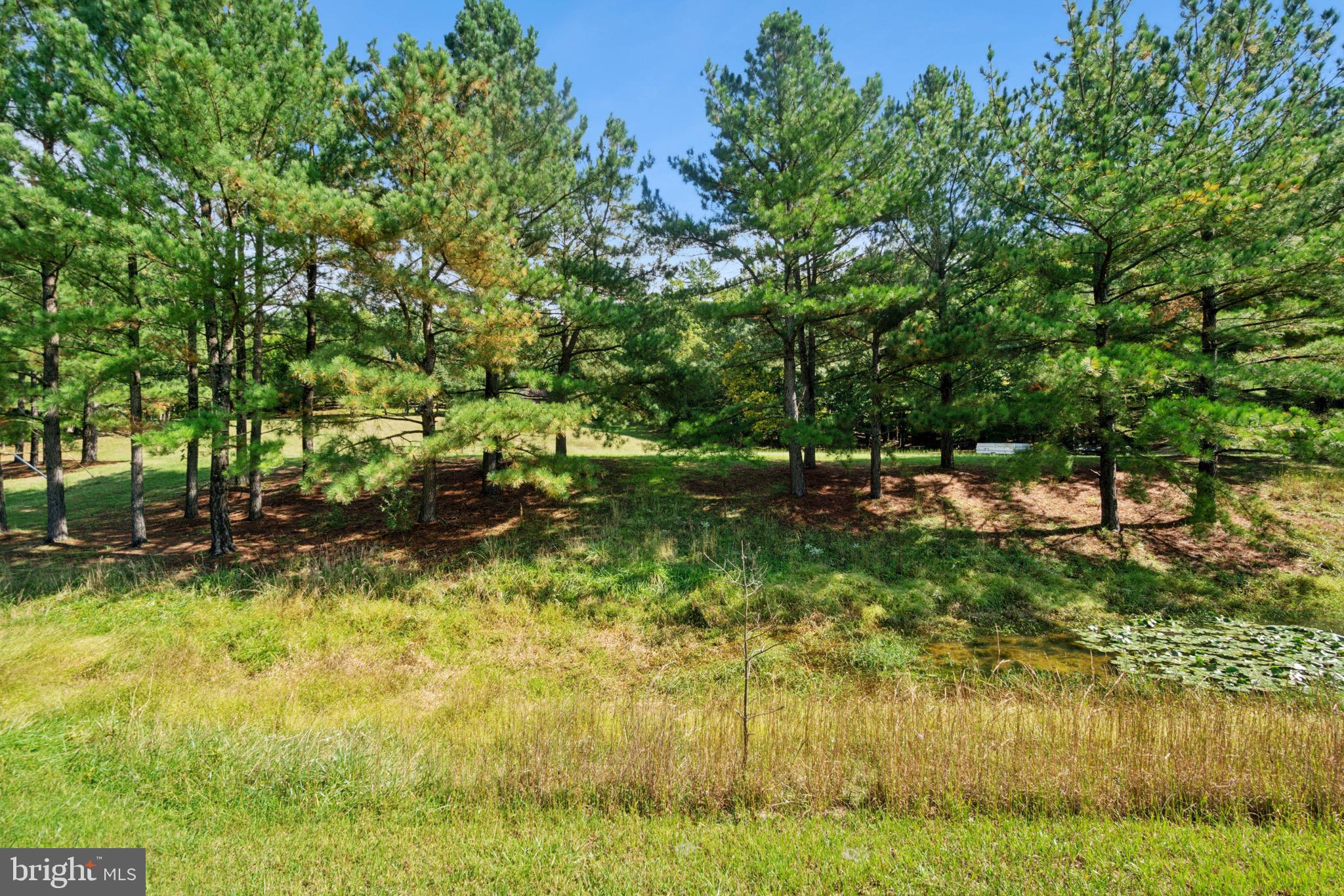 1802 Chestnut Grove Rd