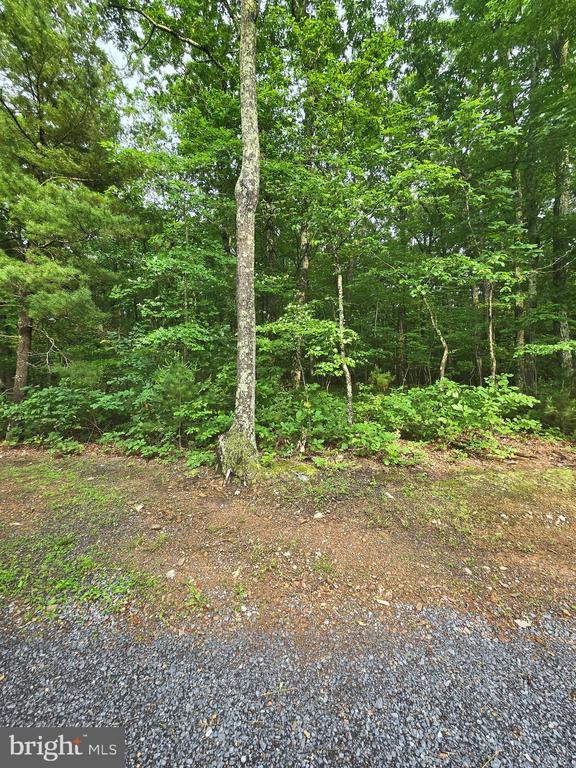 Lot 4 Cattail Road