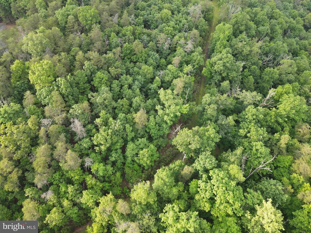 Lot 4 Cattail Road