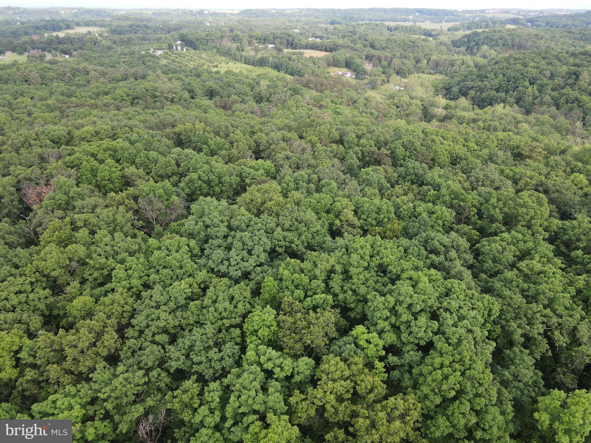 Lot 4 Cattail Road