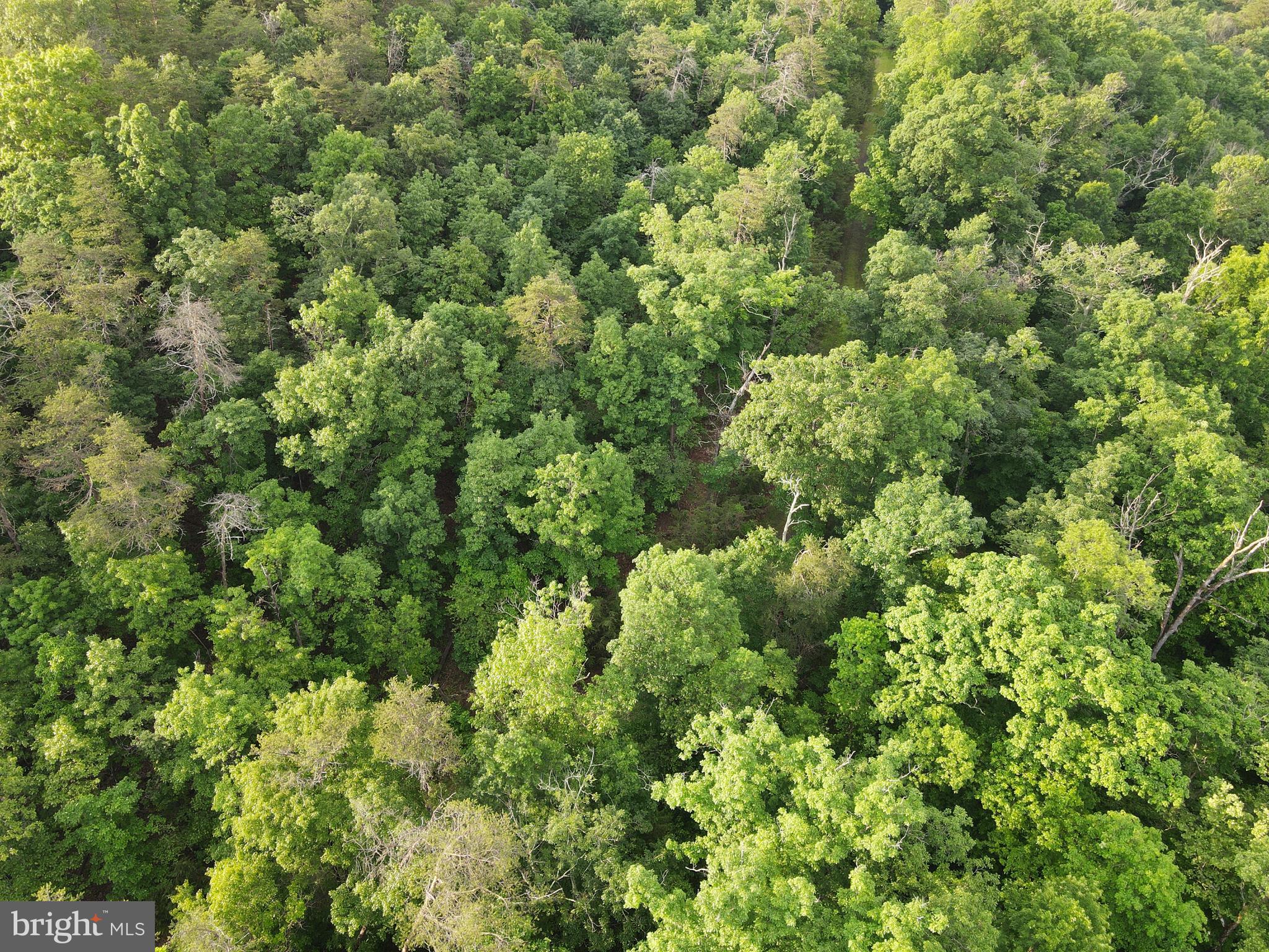 Lot 4 Cattail Road