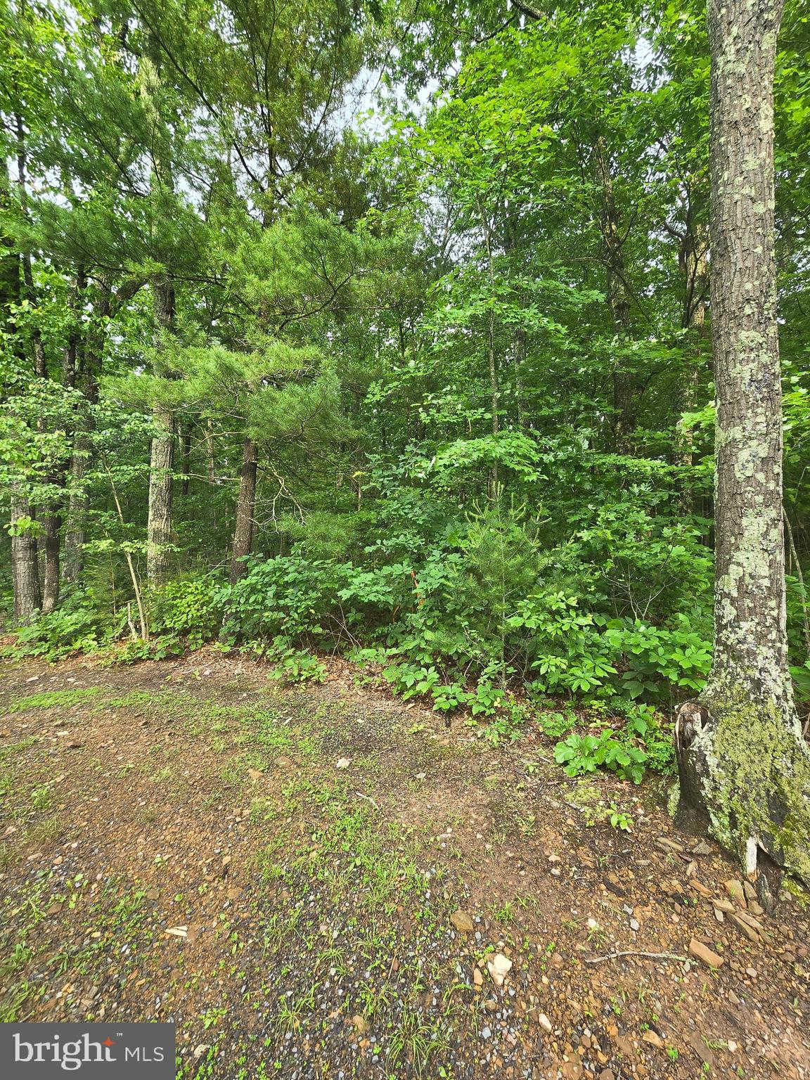 Lot 4 Cattail Road