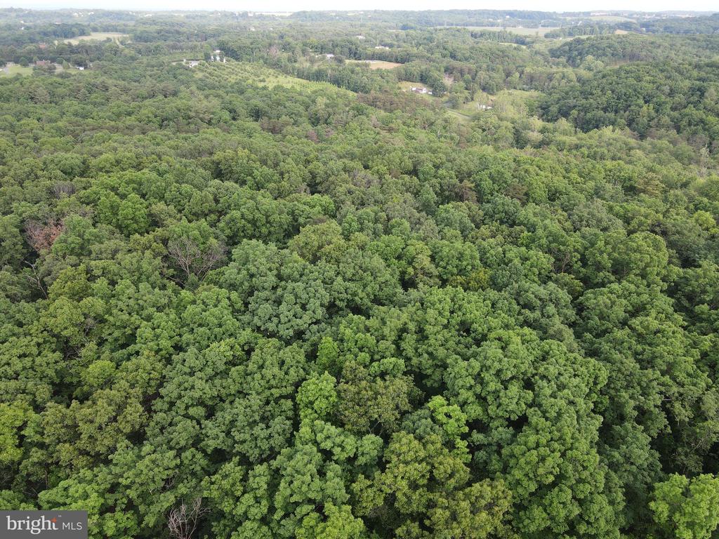 Lot 4 Cattail Road