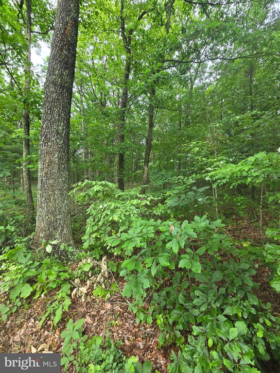 Lot 4 Cattail Road