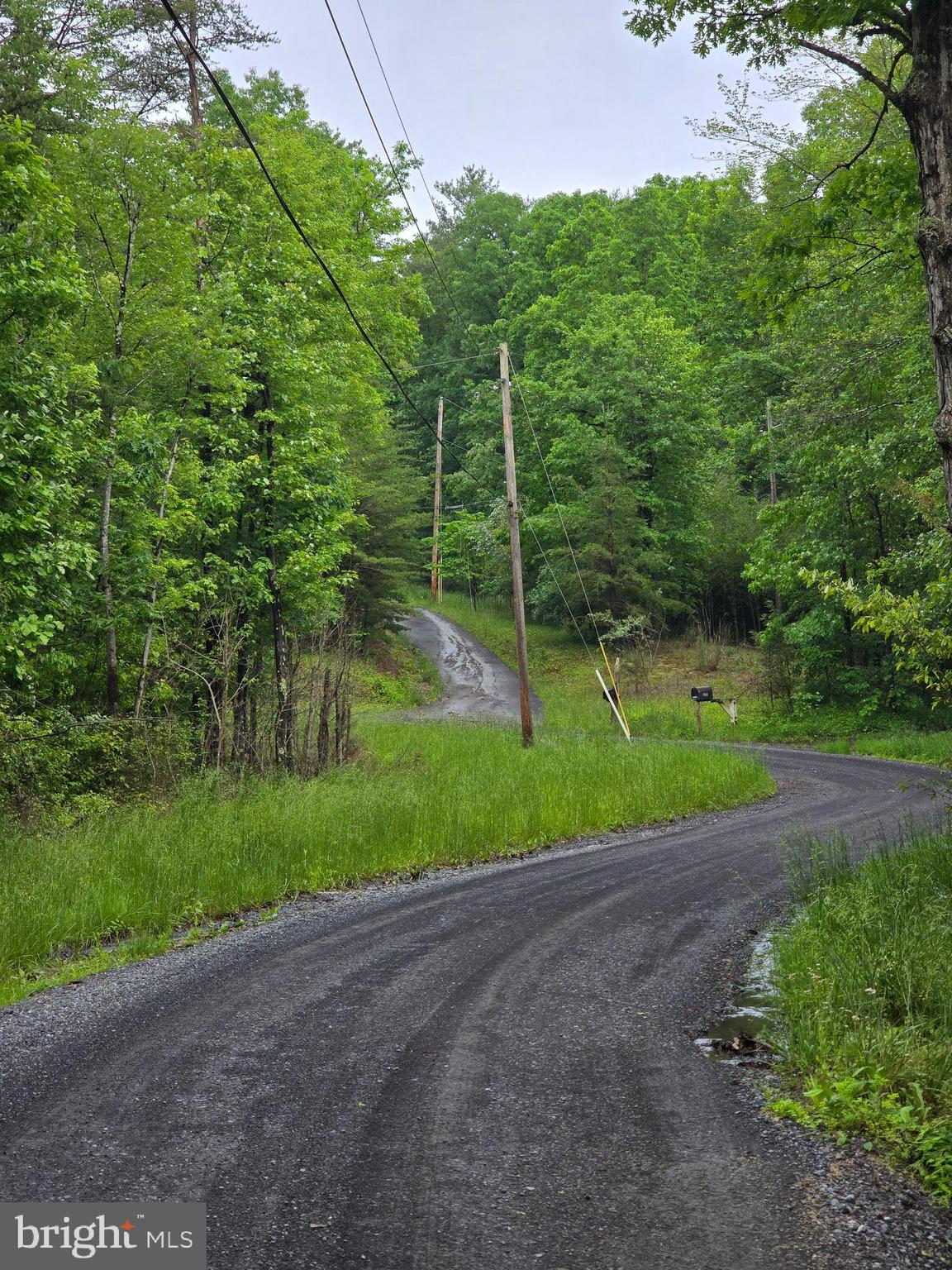 Lot 4 Cattail Road