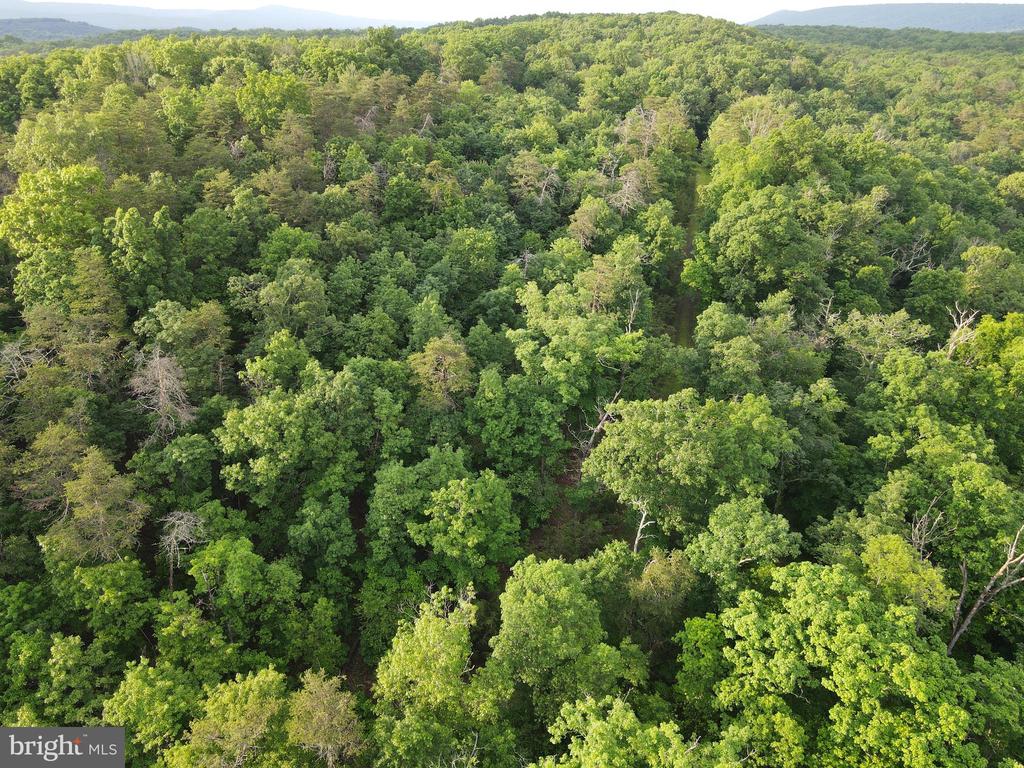 Lot 4 Cattail Road