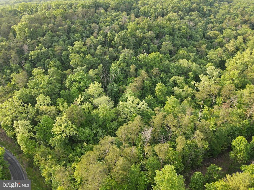 Lot 4 Cattail Road