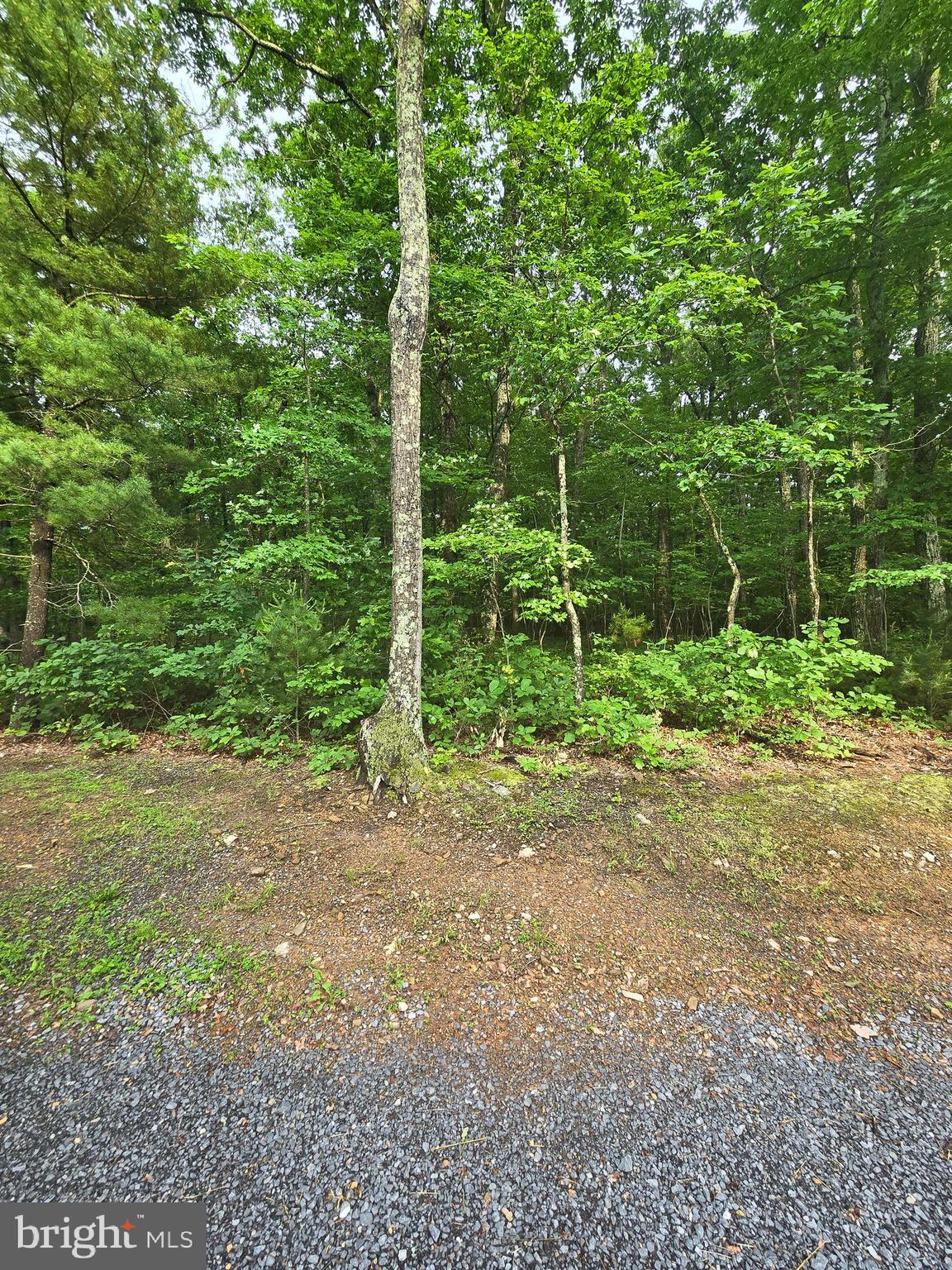 Lot 4 Cattail Road