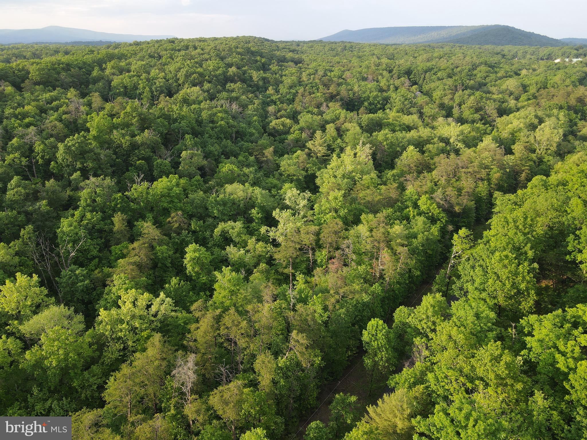 Lot 4 Cattail Road