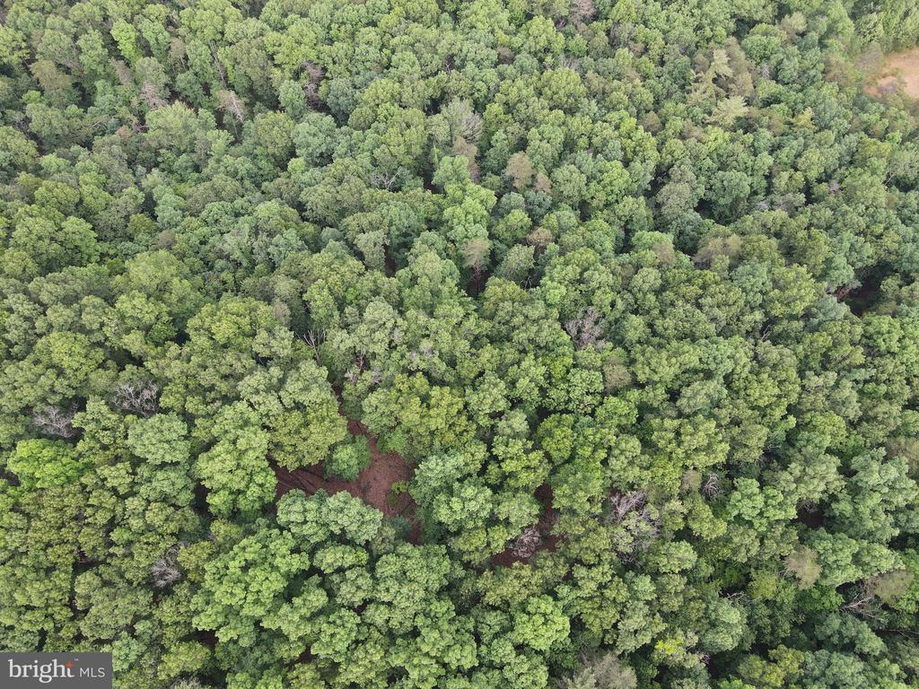 Lot 4 Cattail Road