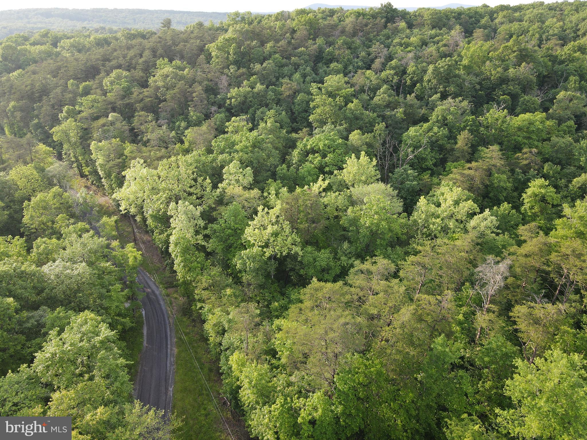 Lot 4 Cattail Road