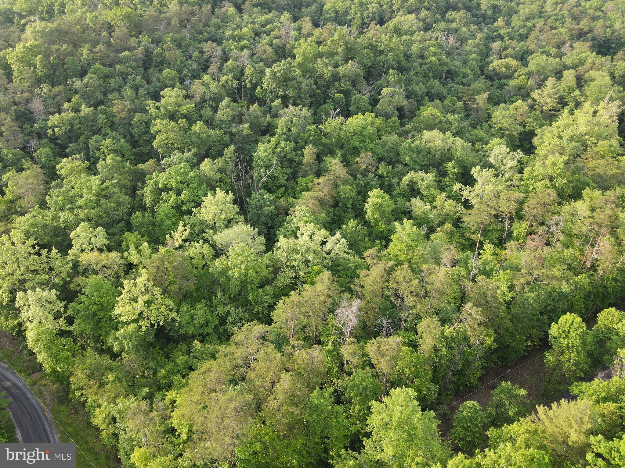 Lot 4 Cattail Road