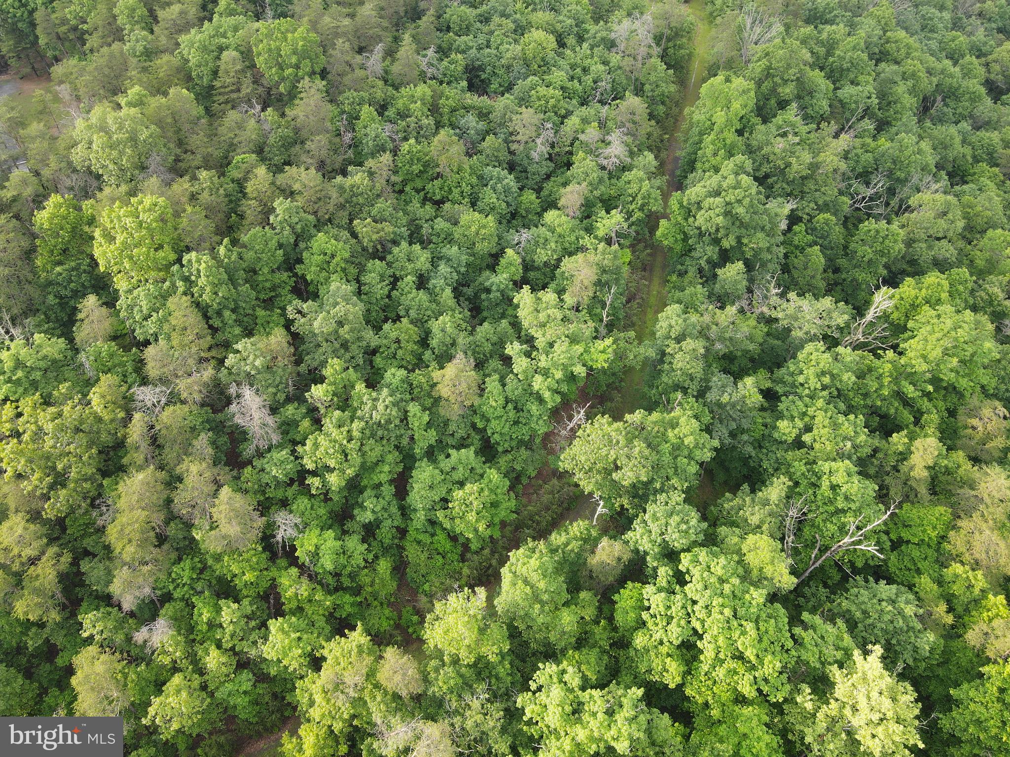 Lot 4 Cattail Road