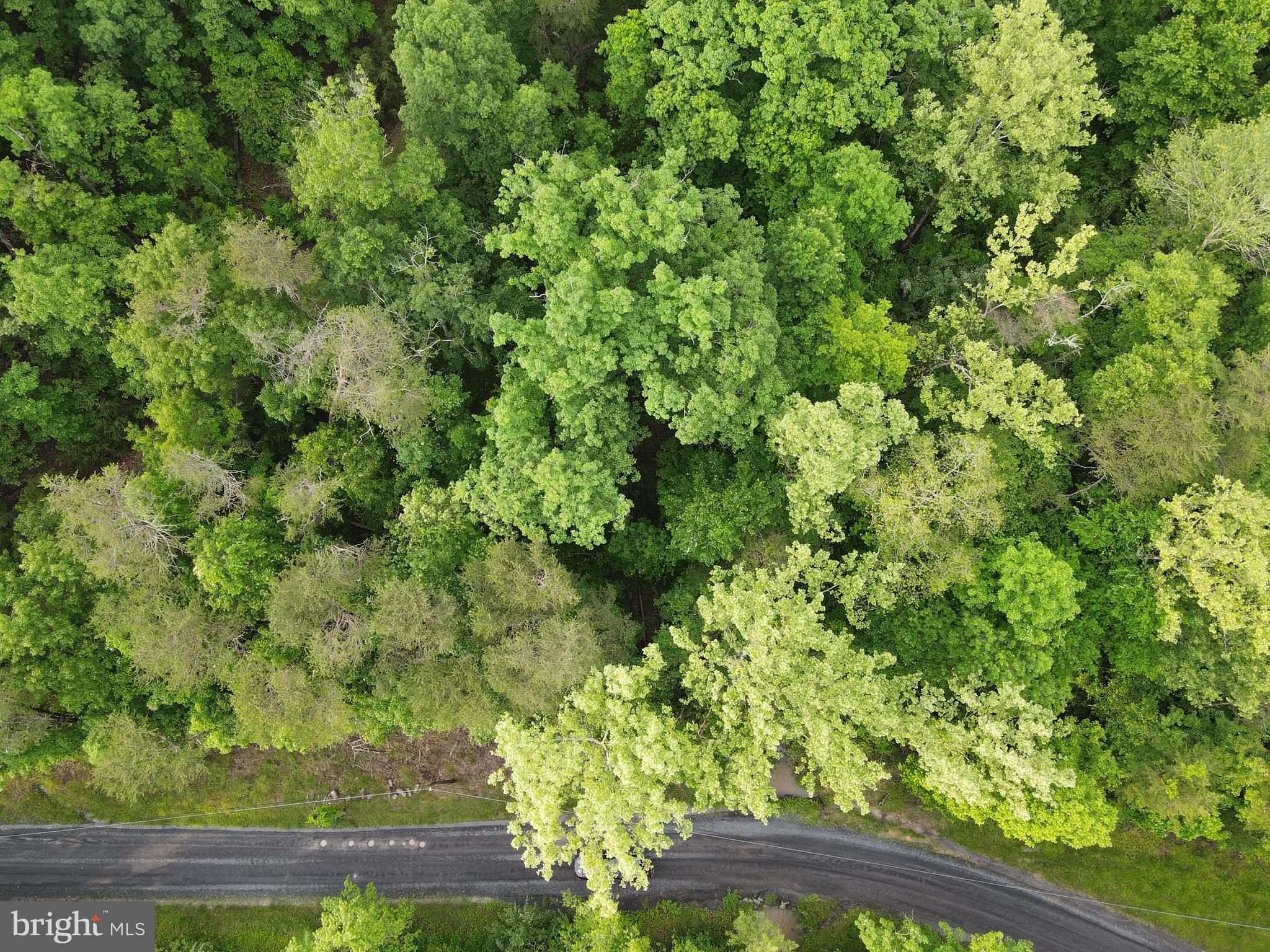 Lot 4 Cattail Road