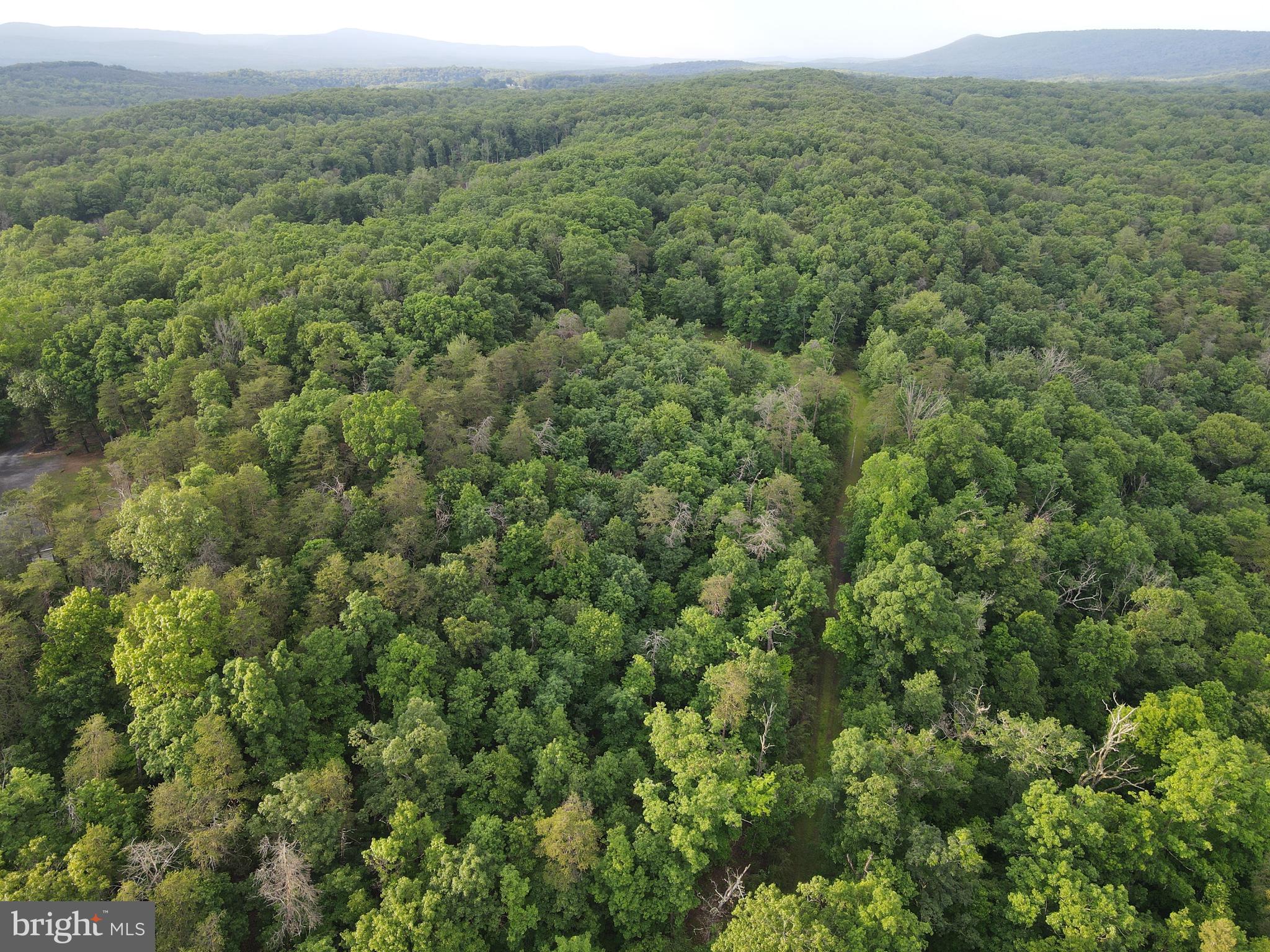 Lot 4 Cattail Road