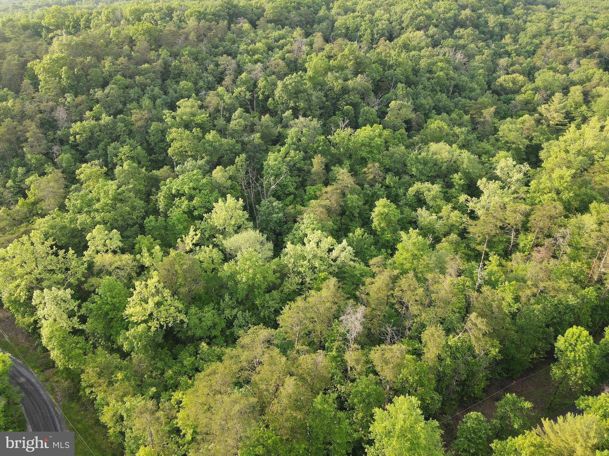 Lot 4 Cattail Road