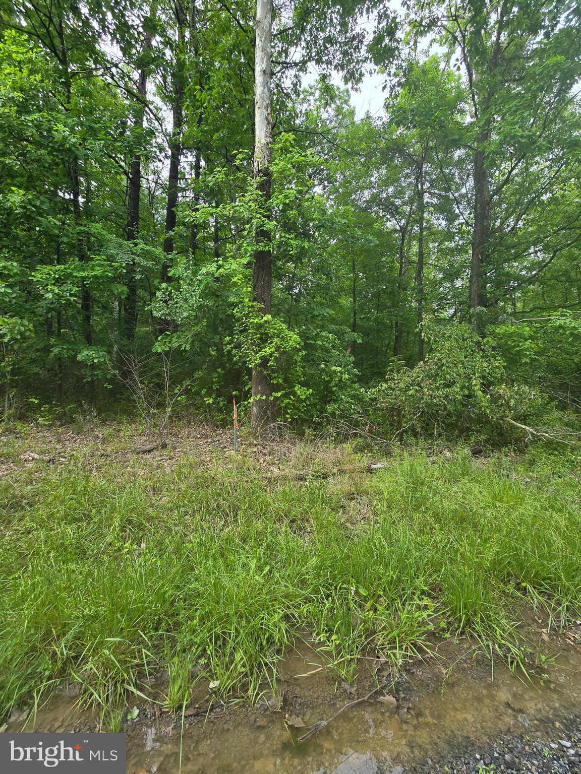 Lot 4 Cattail Road