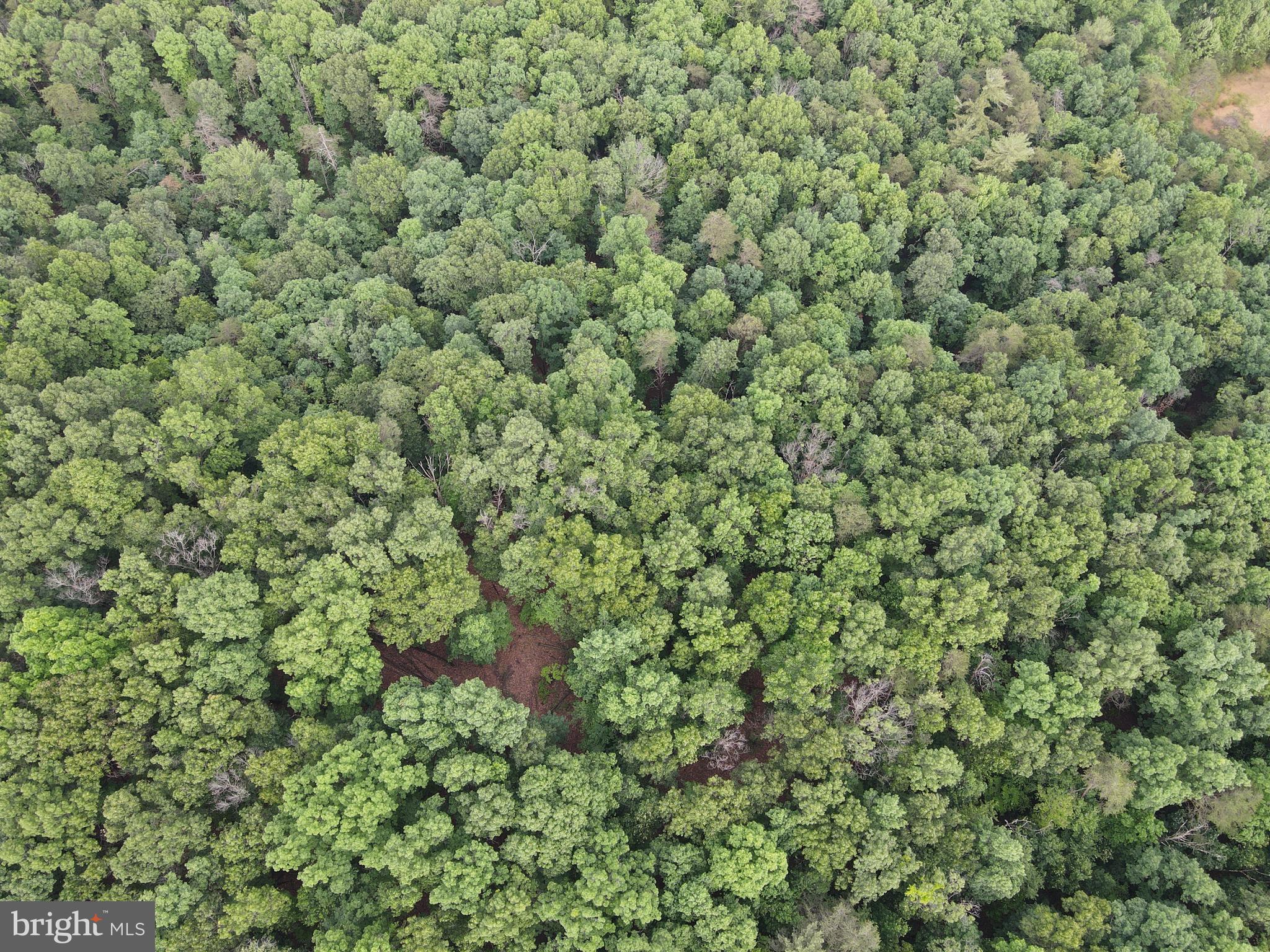 Lot 4 Cattail Road
