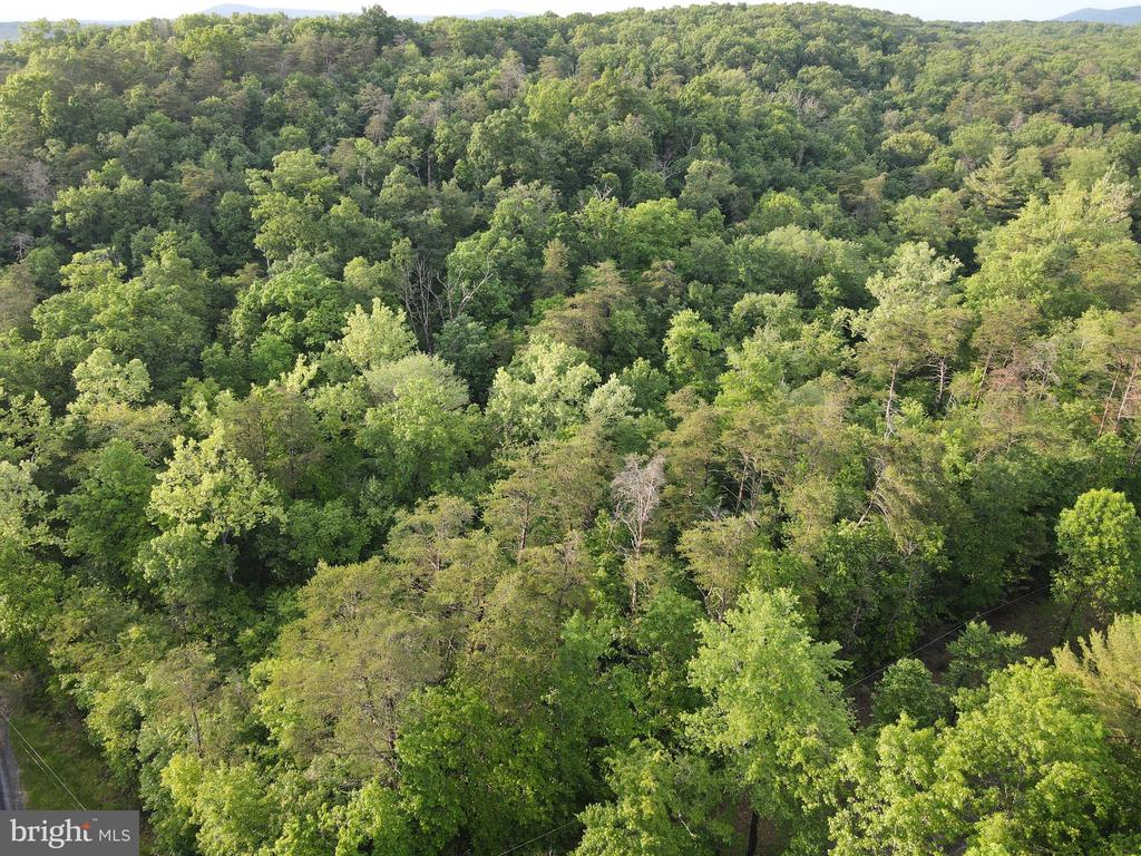 Lot 4 Cattail Road