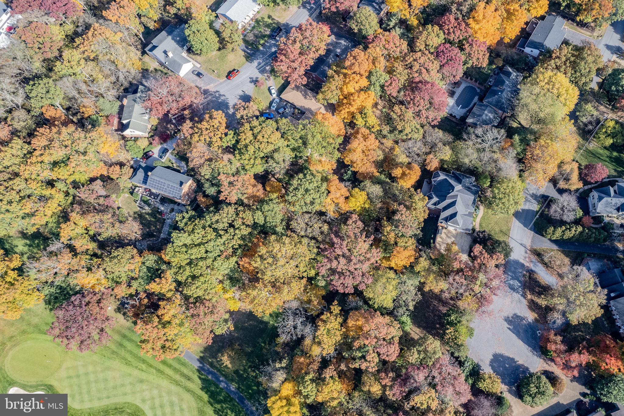Shockey Cir