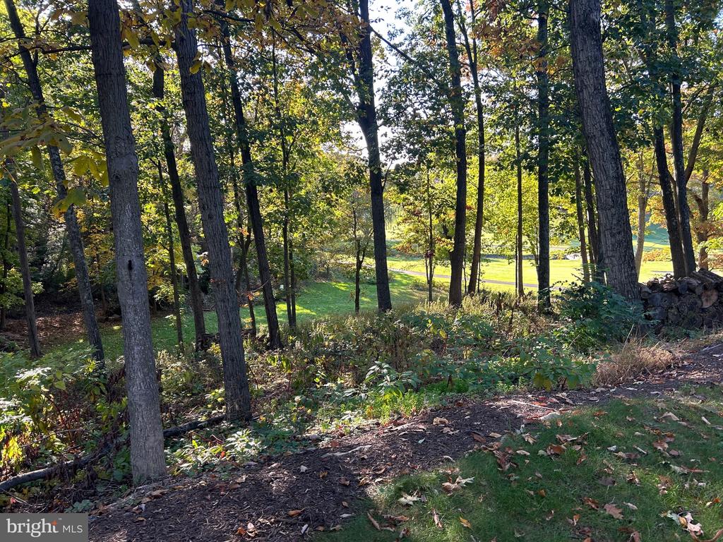 Shockey Cir
