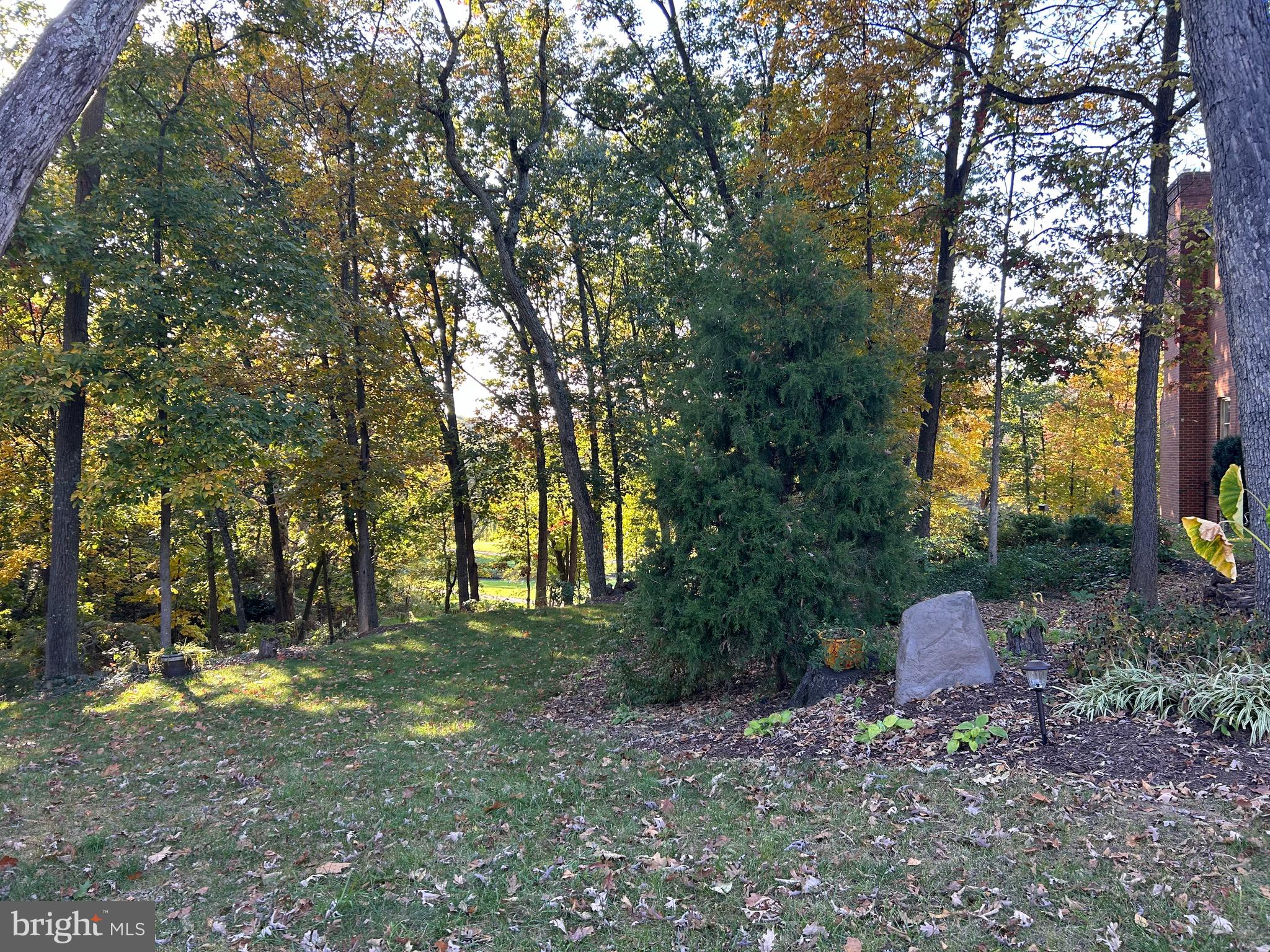 Shockey Cir