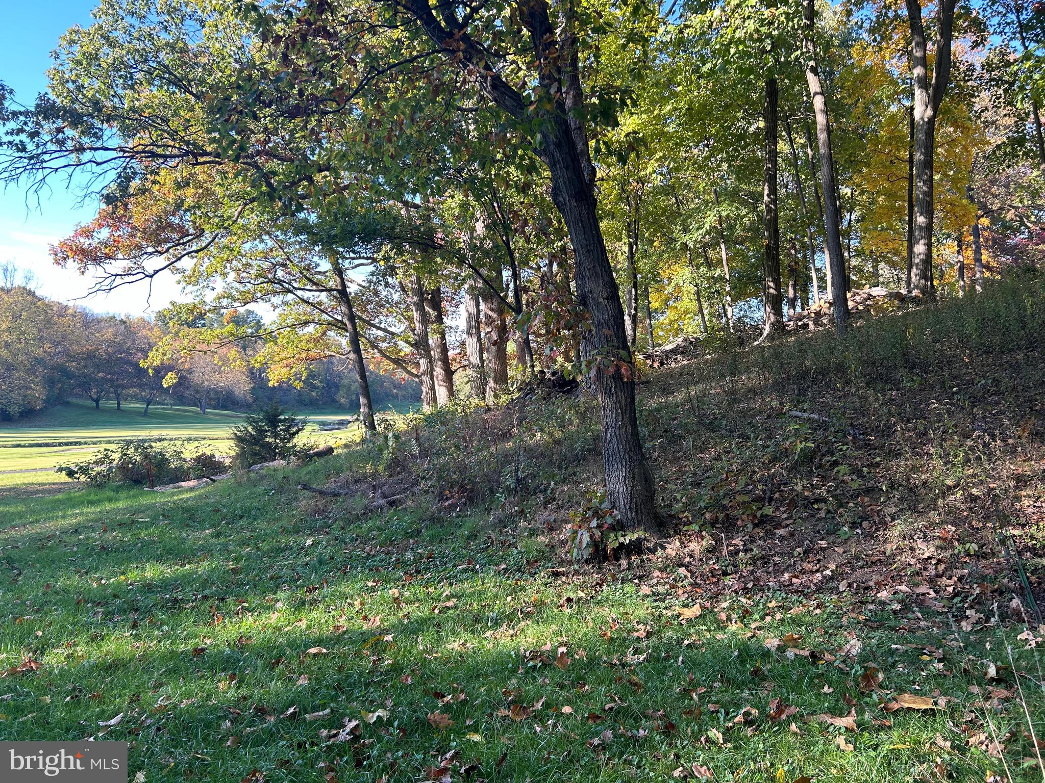 Shockey Cir