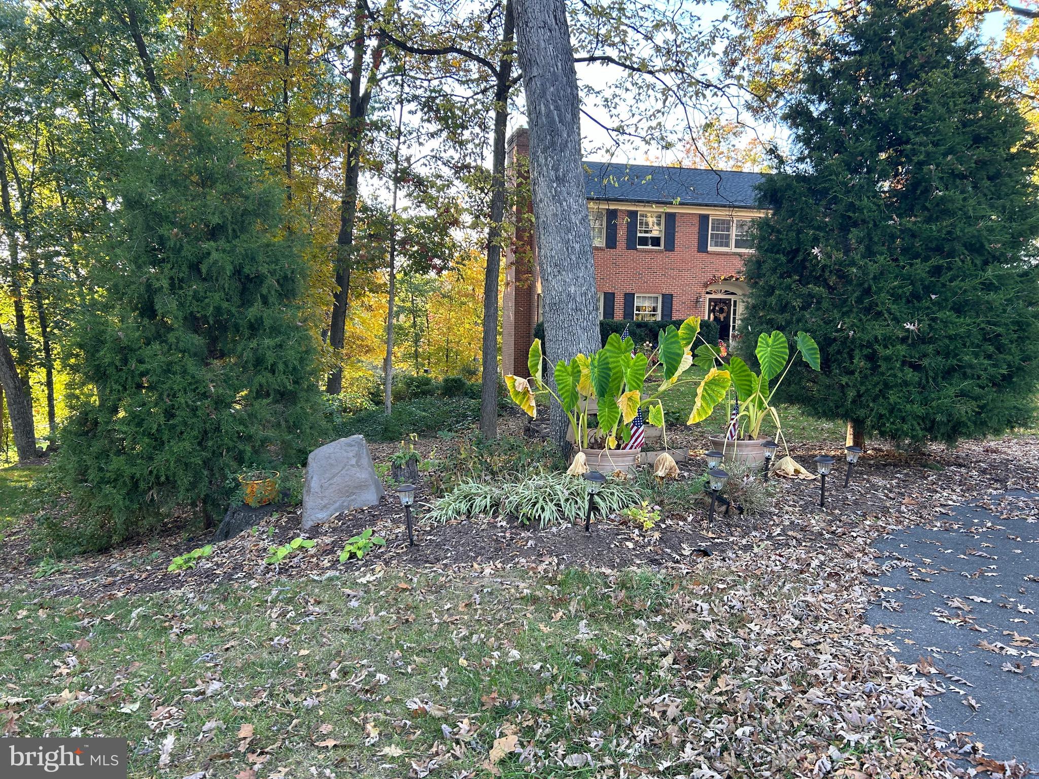 Shockey Cir