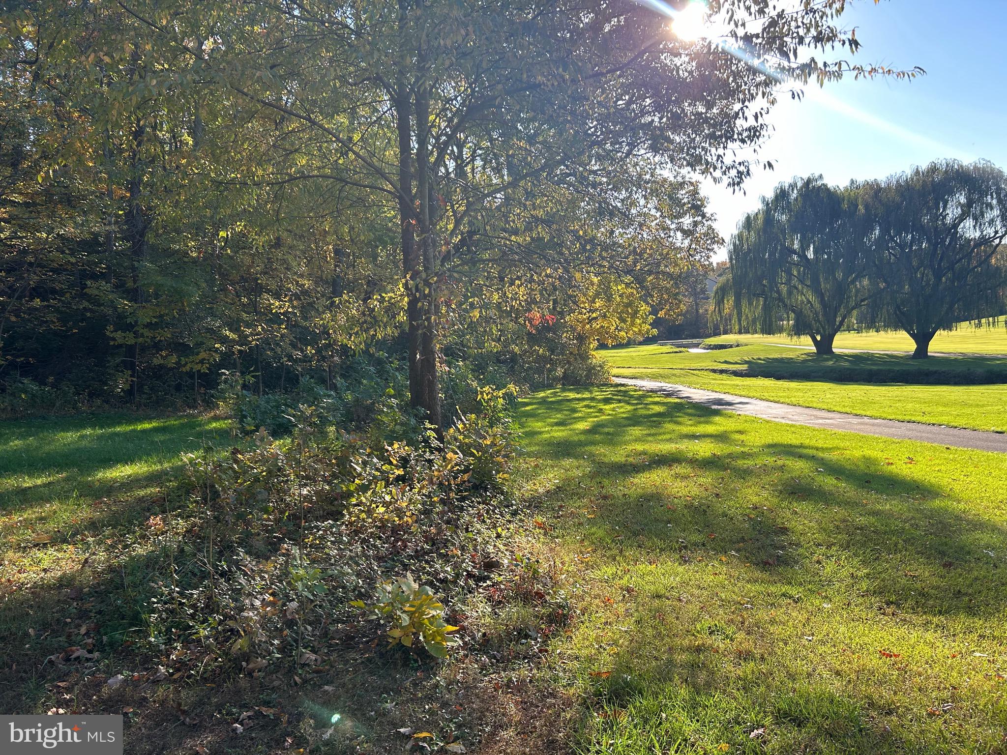 Shockey Cir